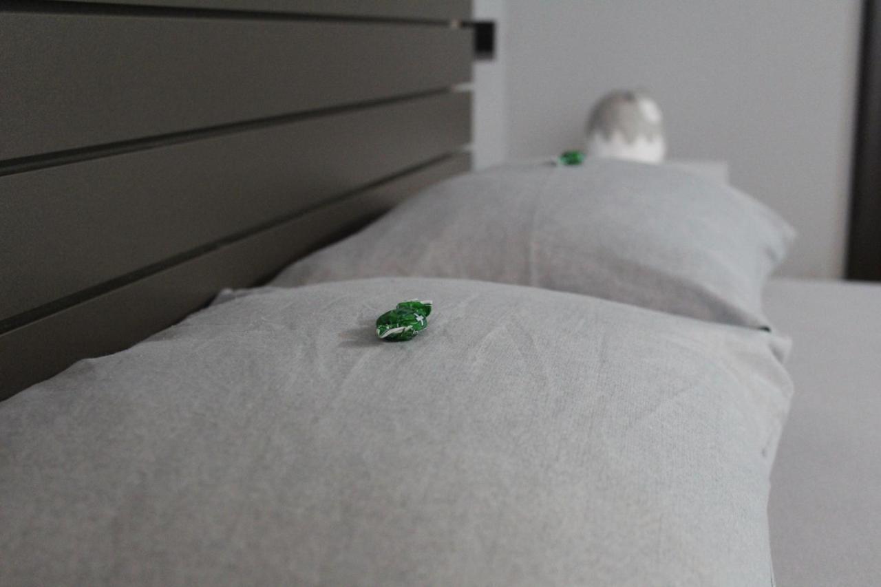 Apartman Daca Подгорица Екстериор снимка